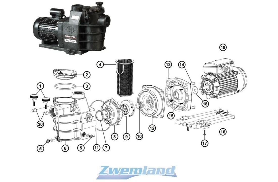 Hayward Hayward Max Flo PompDekselknopSPX1600PN 4 Hayward Hayward Max Flo PompDekselknopSPX1600PN - Afbeelding 2