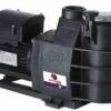 Hayward Hayward Superpool Zwembadpomp 230v 15m3